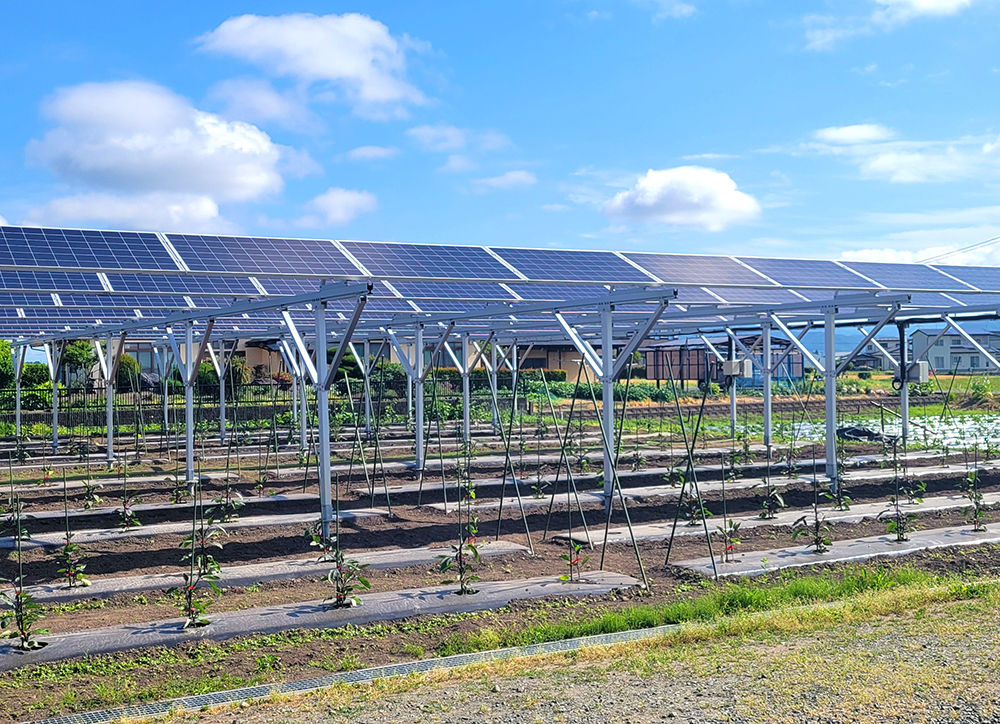 岩手県　Ｆ様　農業シェアリング太陽光発電