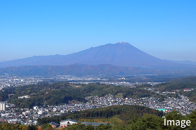 地域密着型